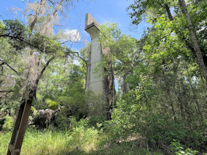 Roadside Image